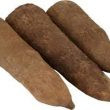Tuber of Yam photo
