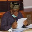 Gomba Okanje Photo