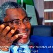 Olamilekan Adegbite, The Honorable Minister of Mines and Steel Development photo
