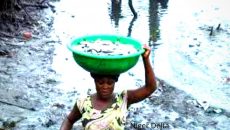 A woman carrying bowl full fish Photo