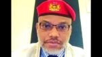 Nnamdi Kanu photo