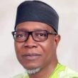 Julius Ihonvbere photo