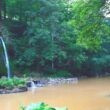 World Rivers Day Photo