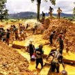 Illegal Gold Miners