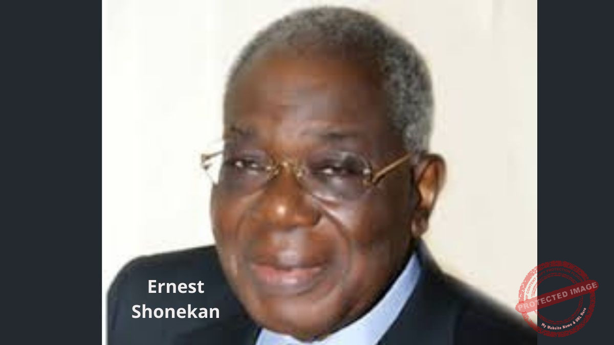 Ernest Shonekan Photo