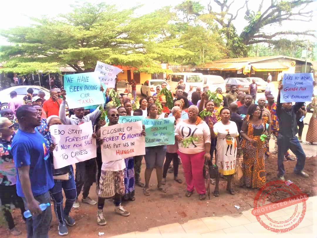 Protest by loggers in Edo Photo