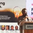 Adebayo Adelabu, Minister of Power
