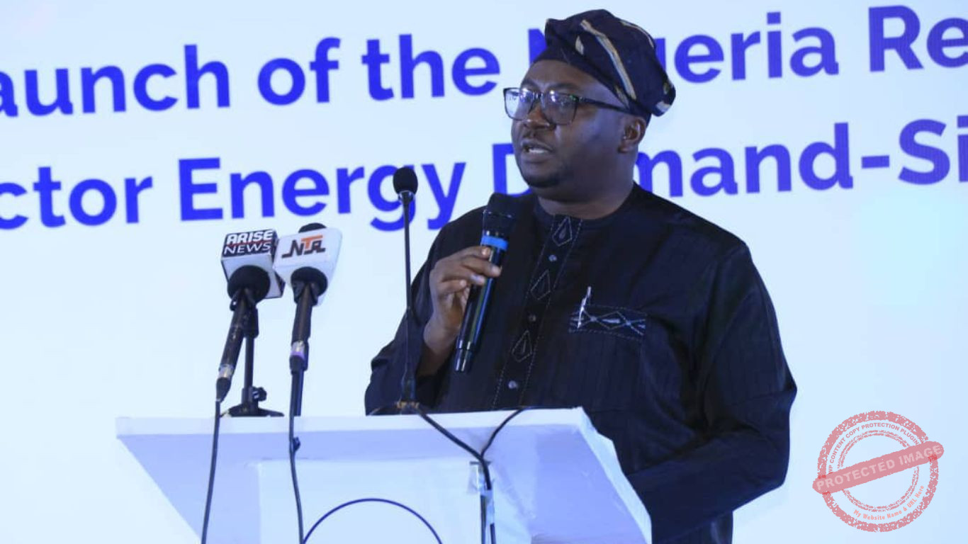 Minister of Power Adebayo Adelabu
