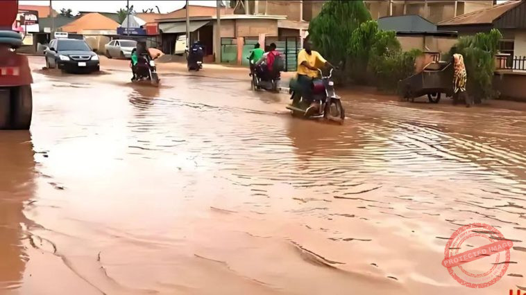 Benin-Asaba Highway