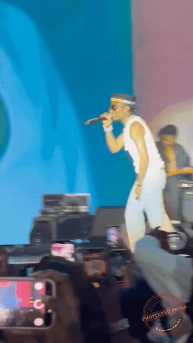Tony Elumelu’s All-White Party