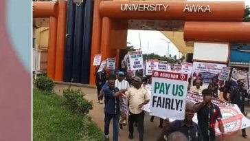 ASUU Strike Looms Again: Nigerian Students Beg Union to Allow Exams Before Shutdown