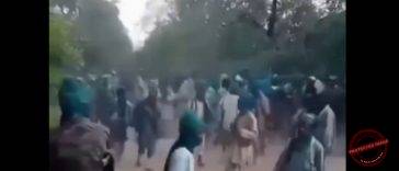 Fresh Tension in Benue: Suspected Fulani Herders Kill Three in Reprisal Attack on Anwule Village — Locals Report Renewed Night Assault