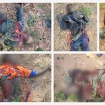 Nigerian Army Strike Team Neutralises 11 Bandits, Foils Planned Attack in Sokoto — Recovers Weapons Cache